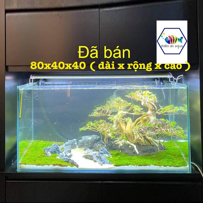 Bonsai hoàn thiện - BSHTM15