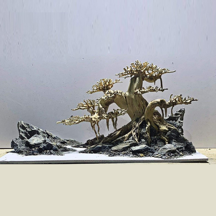 Bonsai thô - M01