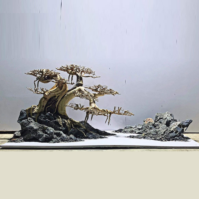 Bonsai thô - M02