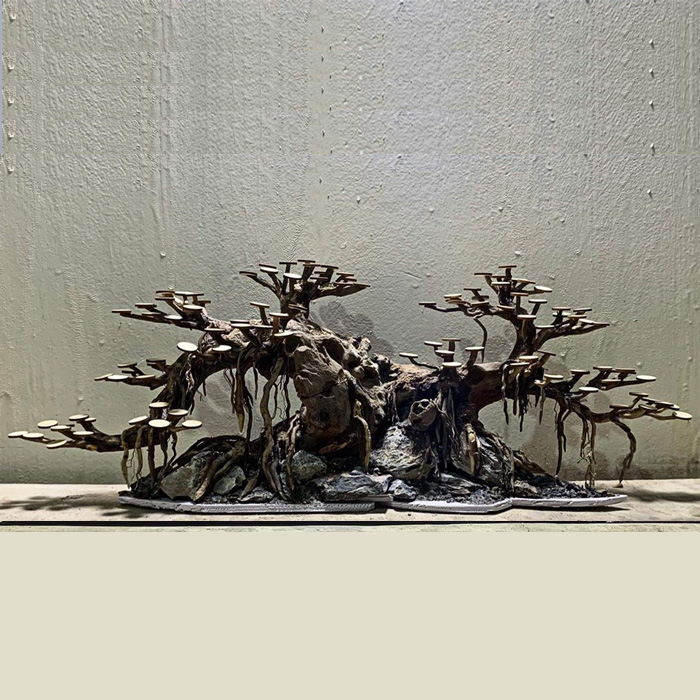 Bonsai thô - M03