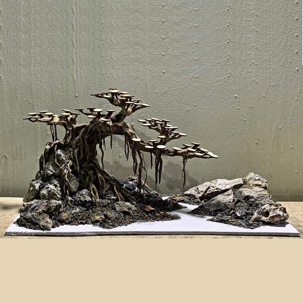 Bonsai thô - M04