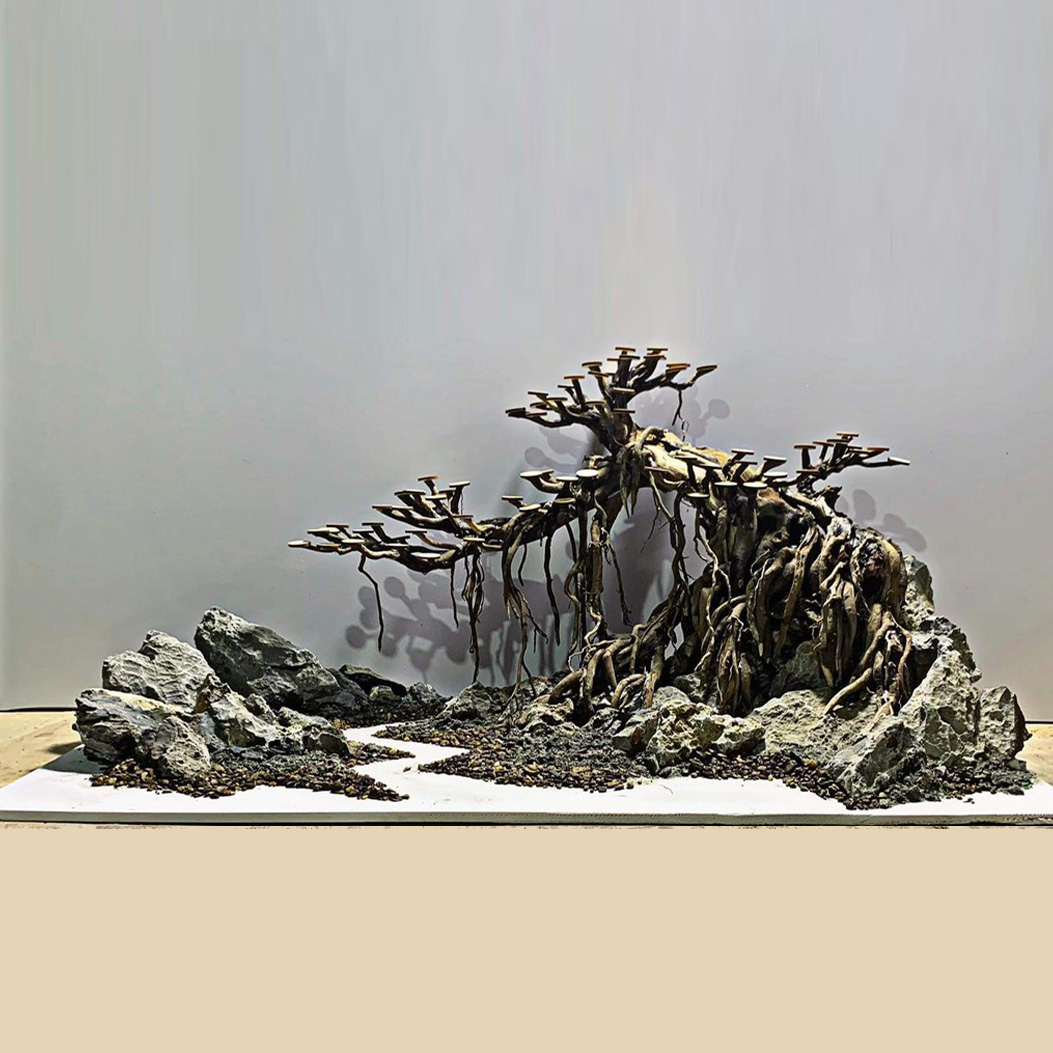 Bonsai thô - M05